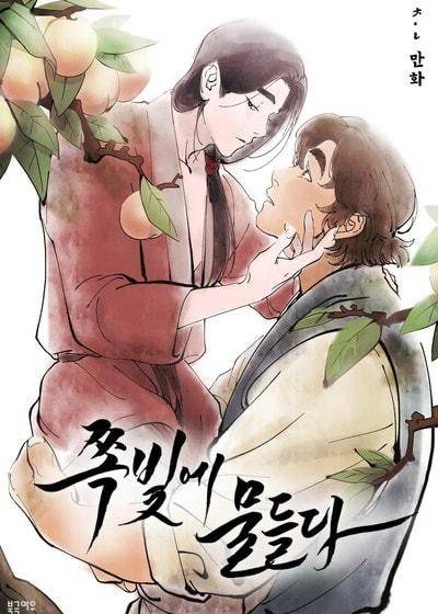 左风起蓝海 (台版)漫画